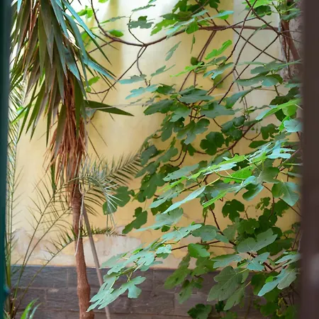 Monserrato House * Catania